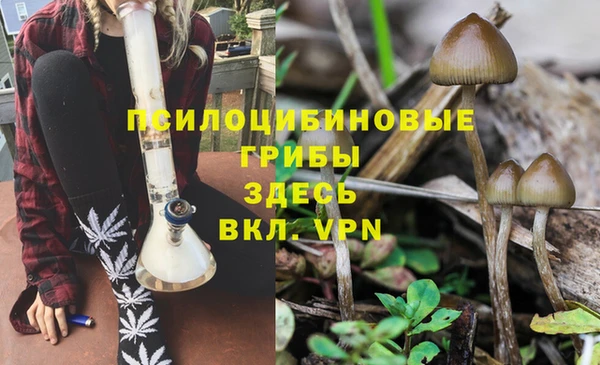 эйфоретик Магадан