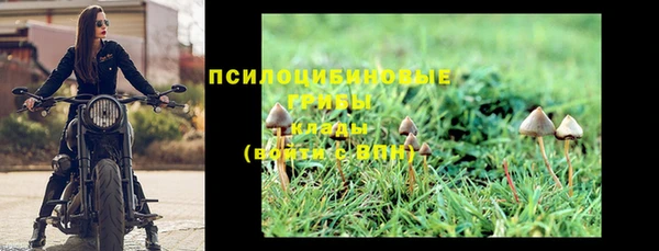 эйфоретик Магадан
