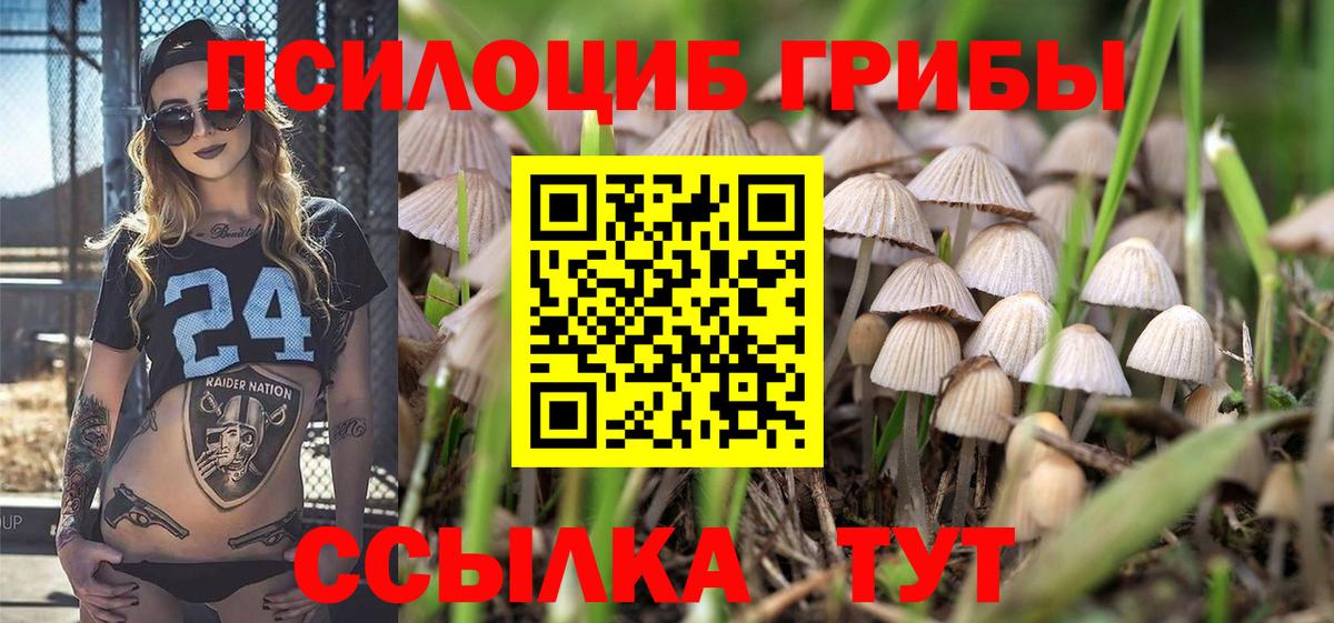 Строитель  Псилоцибиновые грибы прущие грибы  Вход с VPN 