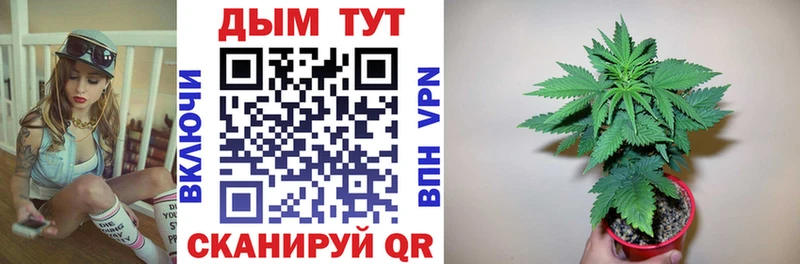 где купить наркоту  Строитель  Канабис AK-47 